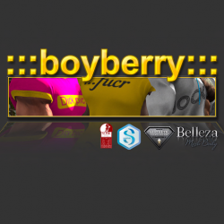 Boyberry logo
